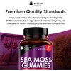 Sea Moss Gummies - Enriched with Irish Sea Moss, Burdock