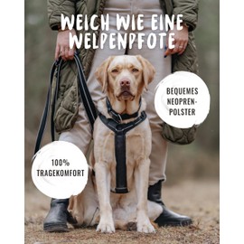 Rudelkönig Paola Dog Harness - Reflective Chest Harness Dog Large with Handle - Dog Harness Large - Adjustable Dog Harness Large Dogs