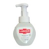 Labsin Sensitive Foaming Hand Wash Powdery Herbal Scent / 센서티브 포밍 핸드워시 파우더리 허브향