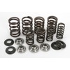 Kpmi 191-22001 Racing Valve Spring Kit