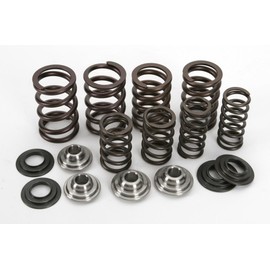 Kpmi 191-22001 Racing Valve Spring Kit