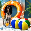 Shappy 2 Pcs Dog Water Toys Giant Pet 9.5" Beach