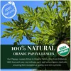 Papaya Organic Dried Papaya Leaves, Papaya Leaf Tea, Herbal Tea,
