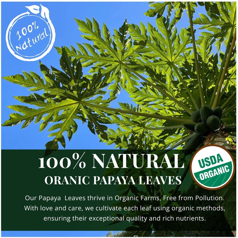 Papaya Organic Dried Papaya Leaves, Papaya Leaf Tea, Herbal Tea,