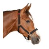 Waldhausen AWA Safety Halter