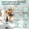 Collapsed Trachea Treatment for Dogs, Trachea Cough Elixir, Dog Cough