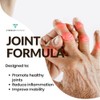 Joint Formula – Advanced Joint Support with Herbal Blend &