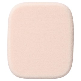 Foundation Sponge N