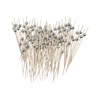 100PCS Fancy Cocktail Toothpicks Cocktail Picks，Cocktail Skewers Olives Appetizers for