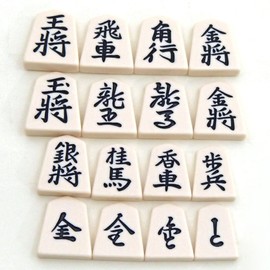 Honda Kasei Shogi Pieces, Plastic Shogi Pieces, Step in P Case