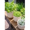 Capi Europe - Flower Pot Ball Groove 'Made with' Metallic