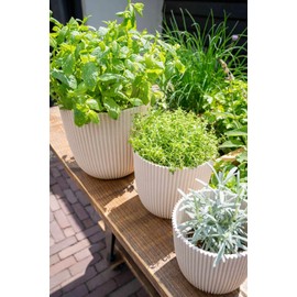 Capi Europe - Flower Pot Ball Groove 'Made with' Metallic Copper - 17x15 - Flower Pots for Indoor and Outdoor Use - Made from Recycled Materials