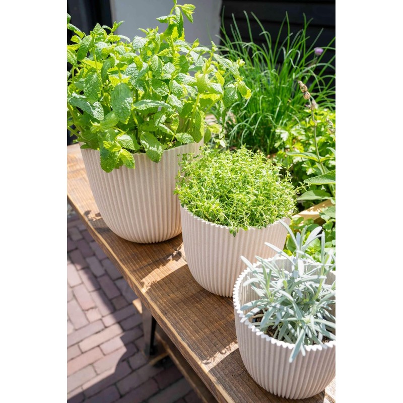 Capi Europe - Flower Pot Ball Groove 'Made with' Metallic
