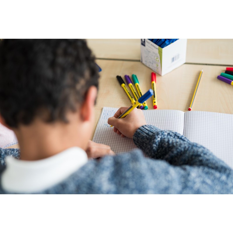 STAEDTLER 307 Noris Writing Pen - Handwriting Pens - 0.6mm