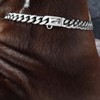 BAOBOTE Gold Dog Chain Collar Walking Metal Chain Collar with