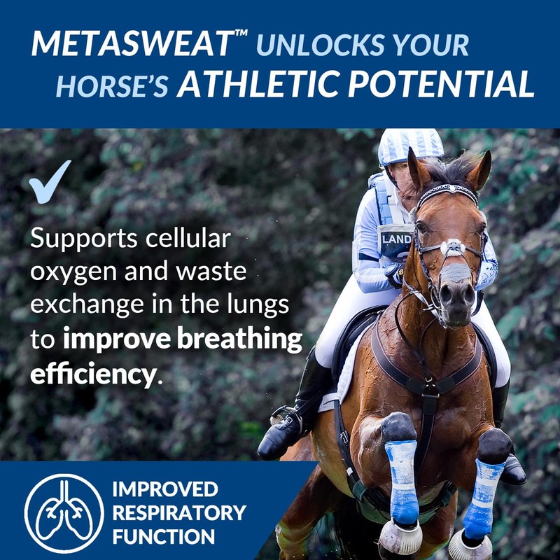 MetaSweat™ +E Performance and Anhidrosis Pellets (3lb)