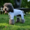 LoveLongLong Dog Jumpsuit with UV Protection and Quick-Dry Fabric for