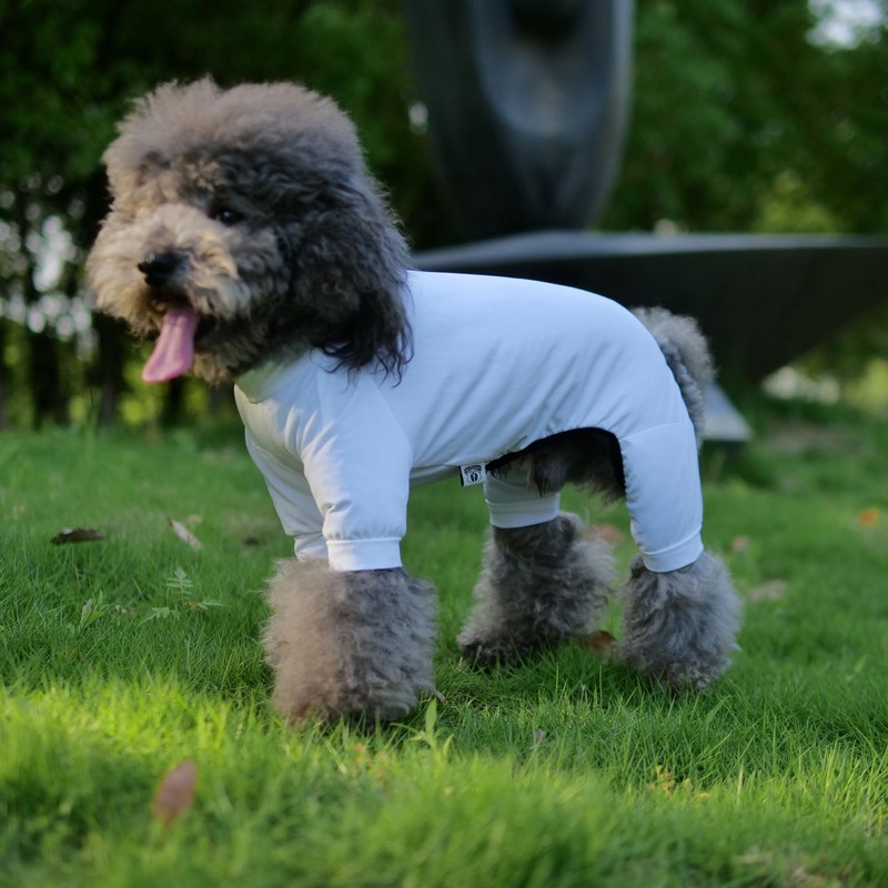 LoveLongLong Dog Jumpsuit with UV Protection and Quick-Dry Fabric for