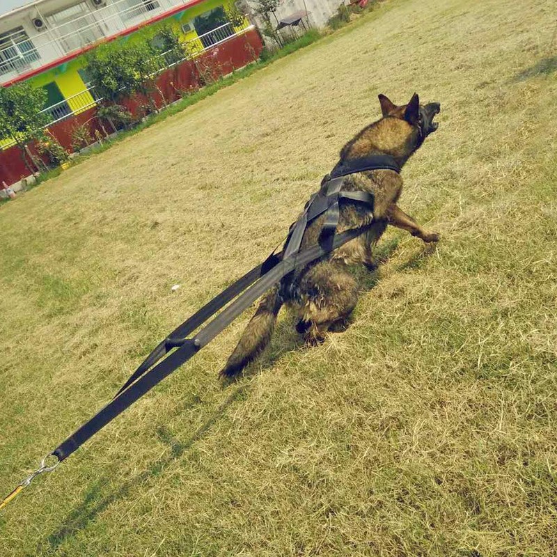 PET ARTIST Dog Sled Harness for Large Work Dogs, Dog