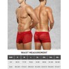 Arjen Kroos Mens Boxer Briefs Breathable Hot Mesh Underwear