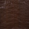 Stansport Light-Duty Rip-Stop Tarp 8' x 10' - Brown (U-810)