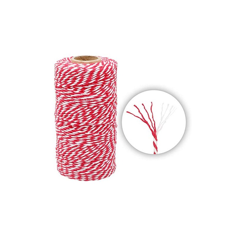 G2PLUS 2x100M Red and White String Twine, 2MM Craft Cotton