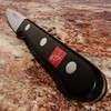 Burgvogel Solingen, Serie 4000, Coltello per lardellare, 10 cm, inossidabile,