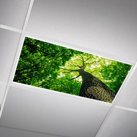 SCWISOAS Fluorescent Light Covers for Ceiling Lights -Magnetic Cloud Cover for Fluorescent Or LED Fixture 2ft x 4ft Classroom,Home,Office Decoration Filters Overhead Lighting- Pink clouds