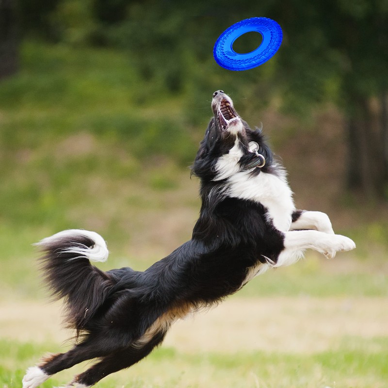 Nerf Dog 10in Enhanced Translucent TPR Tire Flyer - Blue,Medium