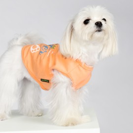 Fitwarm Happy Easter Bunny Dog Shirt, Easter Dog Clothes for Small Dogs Boy Girl, Cute Pet Outfit, Green, Blue, White, Orange, Large