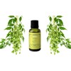 ACEITE ESENCIAL DE NEEM 30 ML