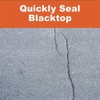 PC Products PC-Xtreme Polyurea Joint Filler, Concrete and Blacktop Sealant,