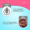 Fancy Pets Essentials Shampoo con Acondicionador 2 en 1 de