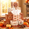Bencailor 12 Pack Fall Pumpkin Facial Tissues Bulk,Orange,Hello Pumpkin