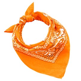 JOPHY & CO. 100% Cotton Bandanas for Women Men Children Unisex with Paisley Pattern Headwear Scarf for Hair/Neck/Wrist/Head COD.644, pumpkin paisley