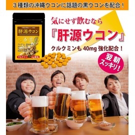 大日ヘルシーフーズ 肝源ウコン 45粒入×6袋 春ウコン 秋ウコン 紫ウコン 黒ウコン 配合 錠剤タイプ サプリ