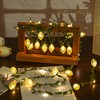 Haosonw Lemon Decor String Lights, 10FT 40 LED Lemon Decorative