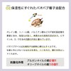 Kyogoku Color Serum Fancy Vivid Purple Color Butter Color Treatment