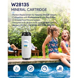 Replacement for Nature2 W28135 Mineral Cartridge for All G35, Professional G & Pro G Plus In Ground Pool Santizers, for Pools up to 35,000 Gallons, N2CG35, W26735