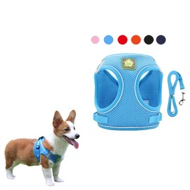 FEimaX Dog Harness and Leash Set, No-Pull Breathable Soft Mesh Puppy Vest Harness Reflective Adjustable Pet Harnesses for Small Medium Dogs and Cats - Outdoor Easy Control for Walking