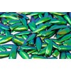 200 Jewel Beetle Elytra | Sternocera aequisignata | Iridescent Wing
