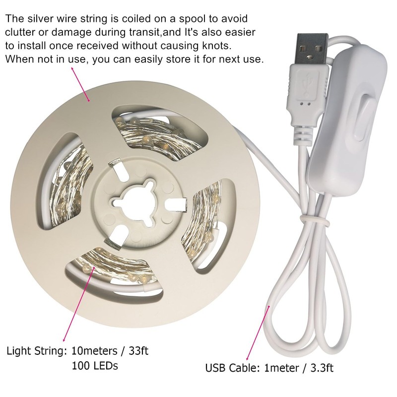 RUICHEN Silver Wire 33 Ft 100 LED USB Fairy String