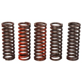TRW Lucas MEF321-5 Motorcycle Clutch Spring Set