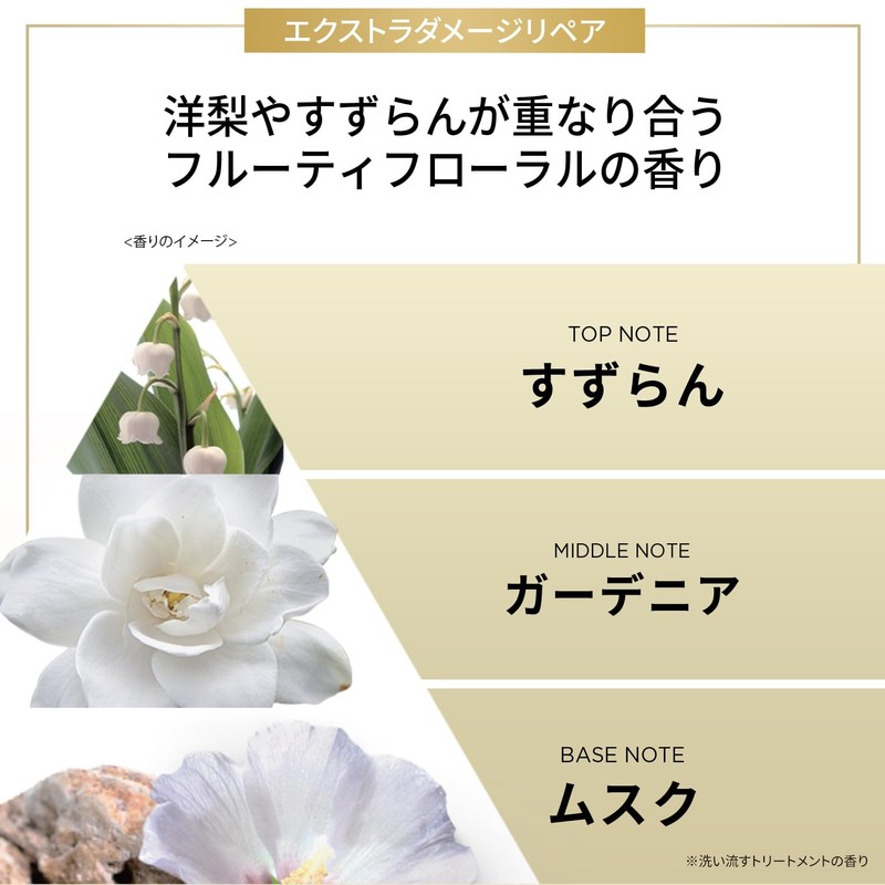 Pantene Wash-Away Treatment 300g [1.7 units] Extra Large Size Extra