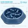 UPSKY Slow Feed Dog Bowl Anti-Choking Slower Eating Puzzle Bowl