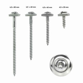 Screw Rebel Spengler Bolts, Stainless Steel A2, Inox with EPDM Washer, Diameter 15 mm TX 20, with CE Marking