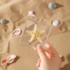 1st Heaven Prepared Starfish, Real Starfish Preparation in Resin -