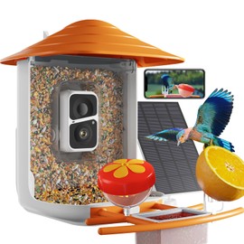 Dzees Smart Bird Feeder with Camera Solar Powered, Bird Watching, AI Identify Species, Auto Capture Videos, 1080P HD Video, Ideal Gift for Family, Mother, Friends