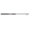 Penn Rampage Boat Casting Fishing Rod