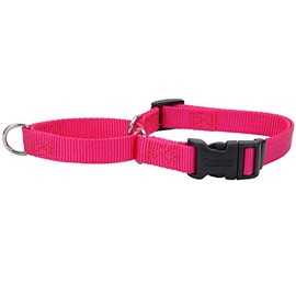 Coastal Pet - No Slip - Martingale Adjustable Dog Collar with Buckle, Pink Flamingo, 3/8" x 10"-12"